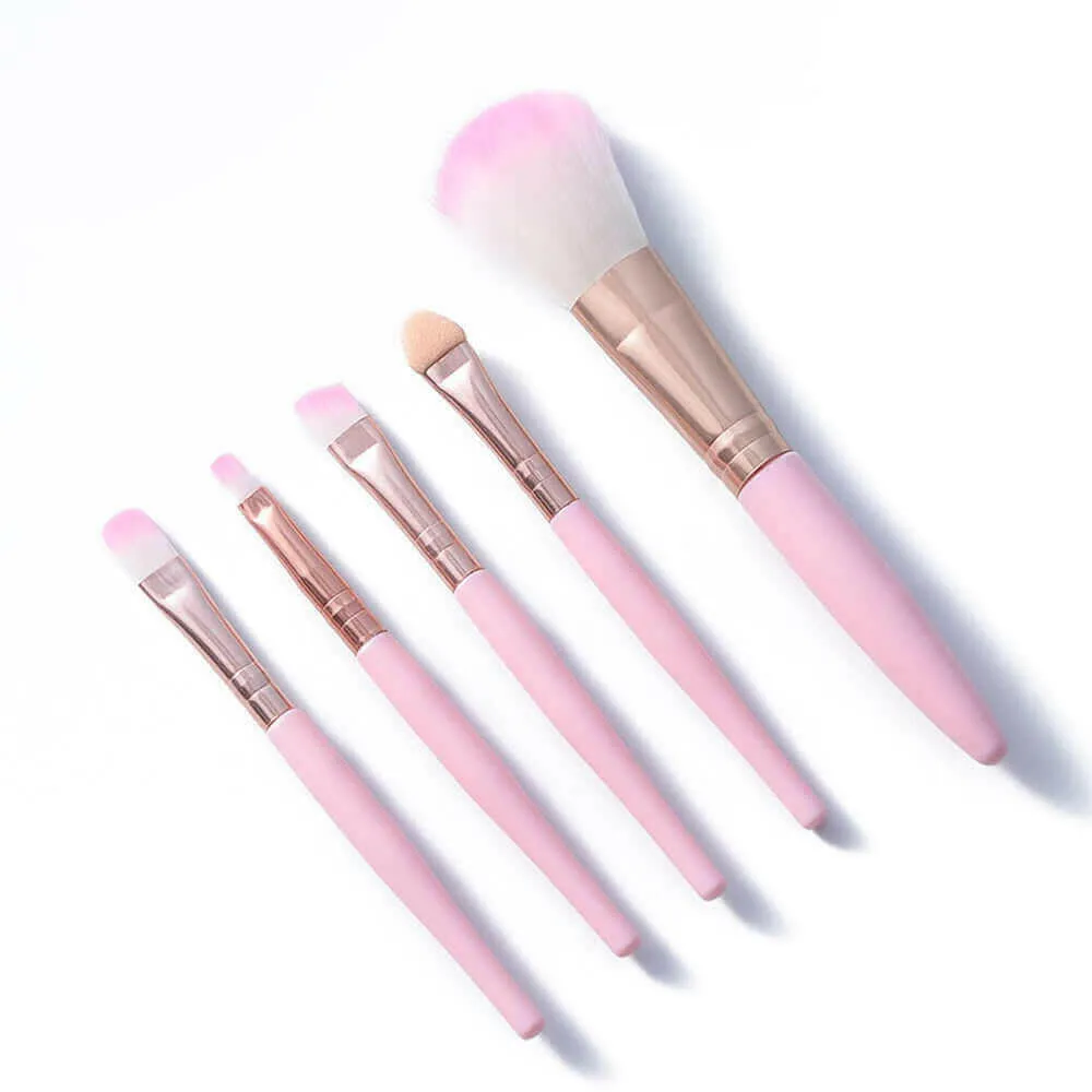 5pcs Makeup Brush Set Beginner Beauty Tools Makeup