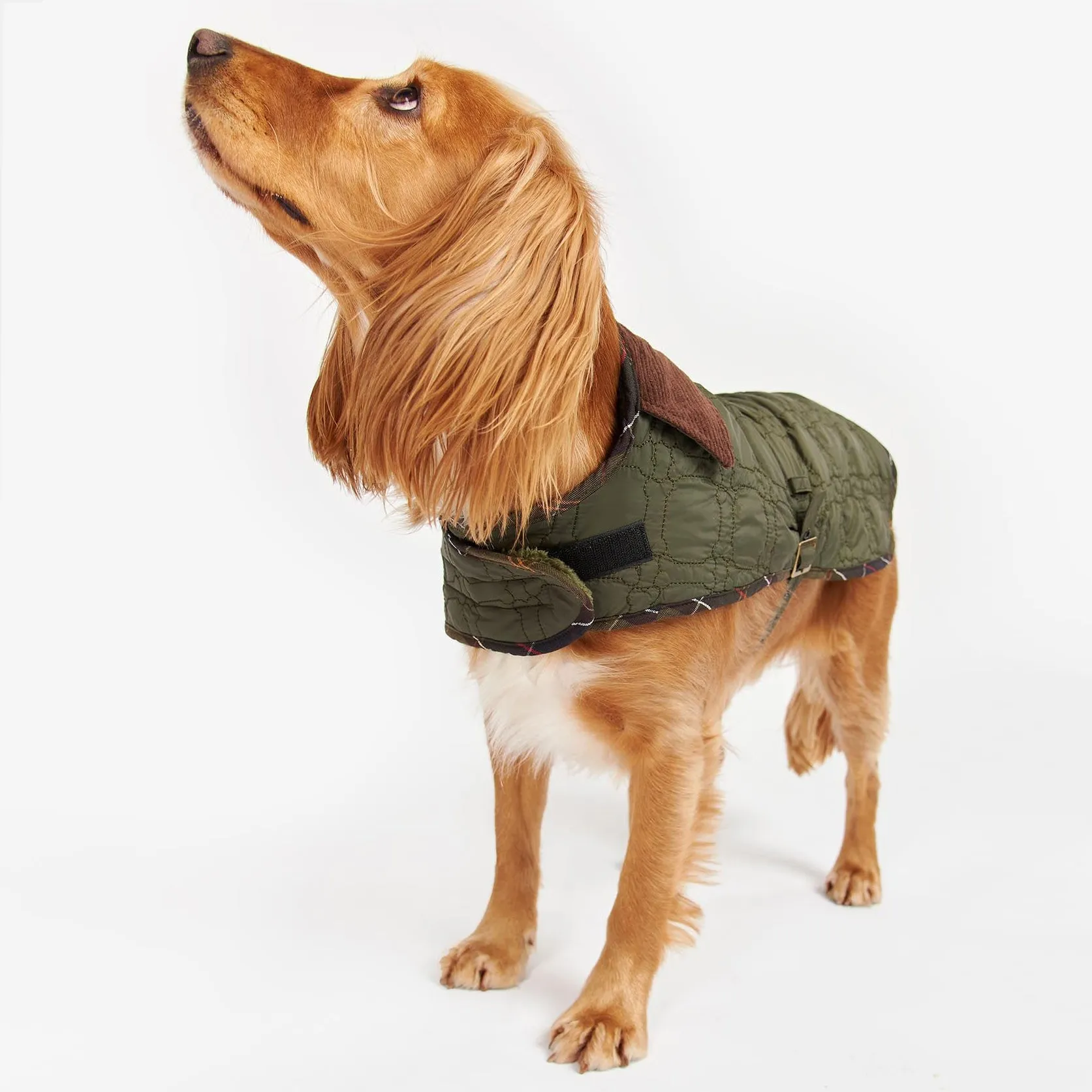 Barbour Quilted Dog Bone Dog Coat in Dark Olive