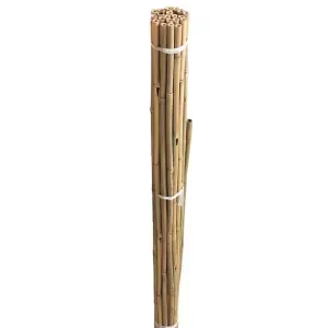 Gardman 1.2m Bamboo Plant Support Canes (Pack of 20)